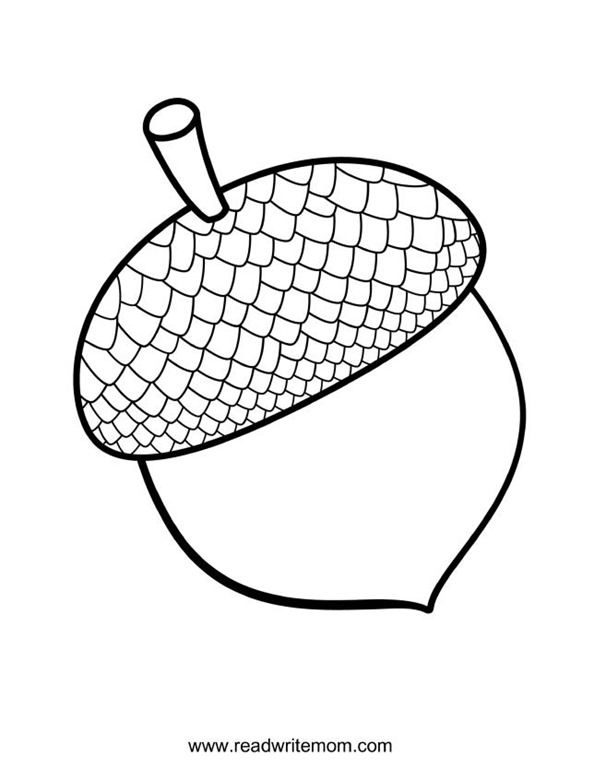 acorn coloring pages - photo #25