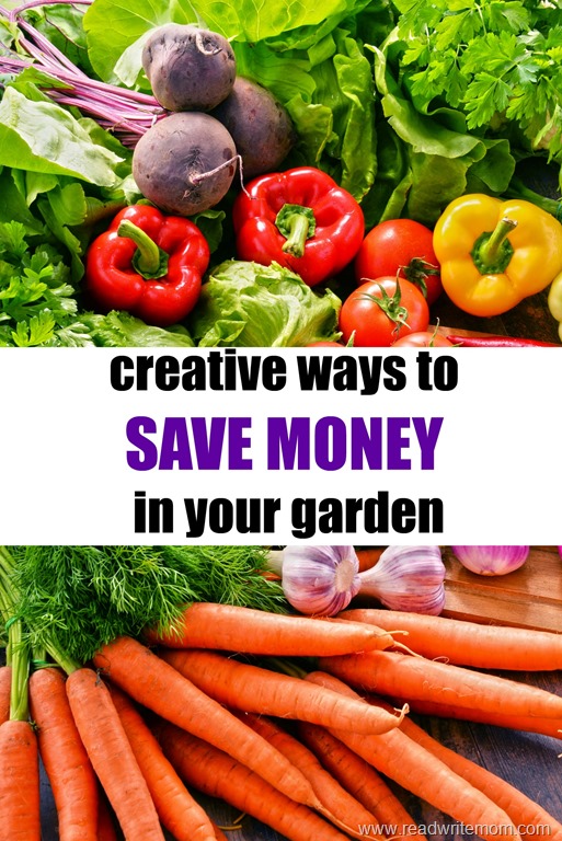 save money in your garden