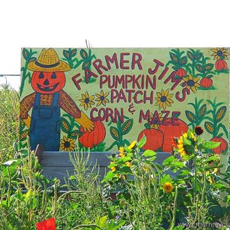 Farmer Jim's Pumpkin Patch