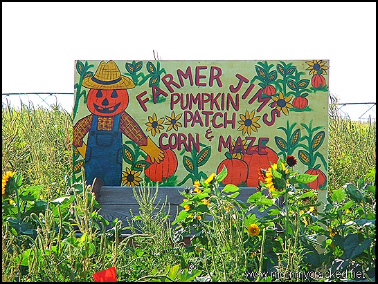 Farmer Jim's Pumpkin Patch