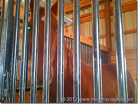 horse barn