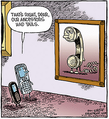 thats right dear our ancestors had tails