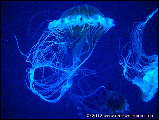 jellyfish glow