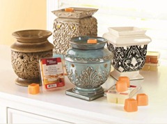BHG Wax Warmers and Cubes