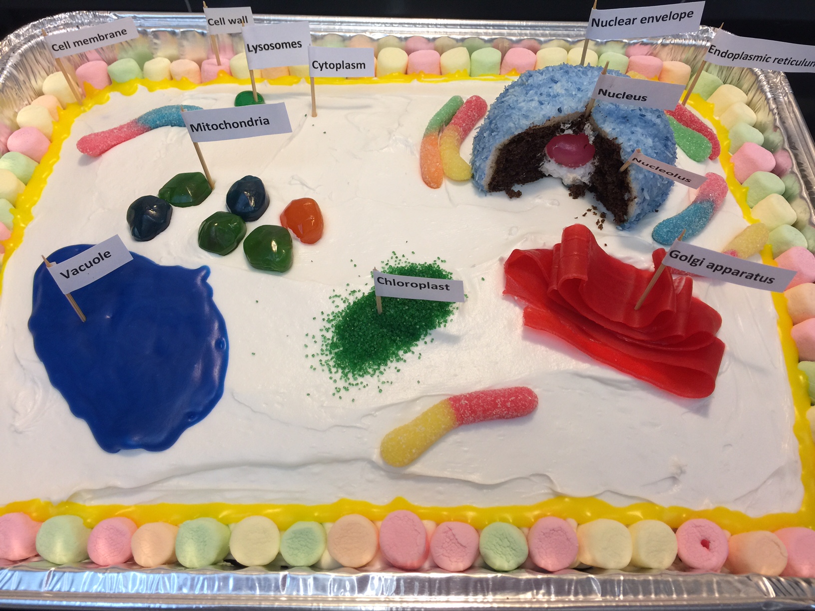 Edible Plant Cell Model With Labels