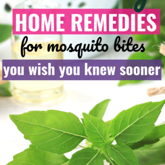 Home remedies for mosquito bites you wish you'd known sooner.