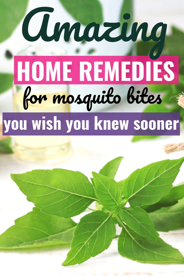 Home remedies for mosquito bites you wish you'd known sooner.