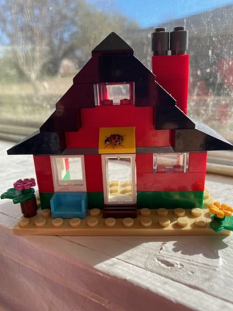 lego ladybug house