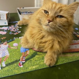 cat puzzle