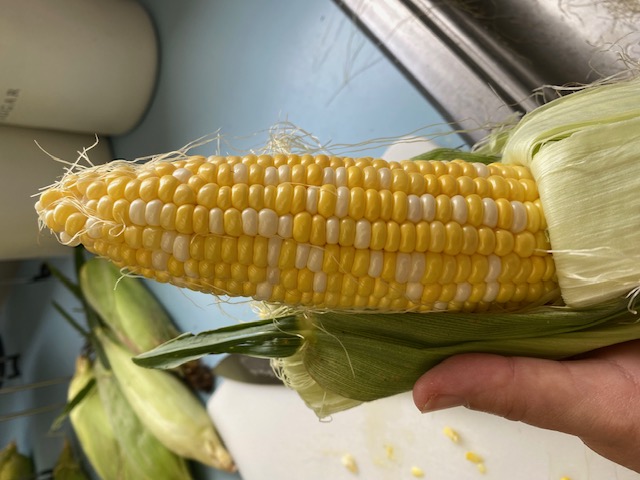 remove corn husk