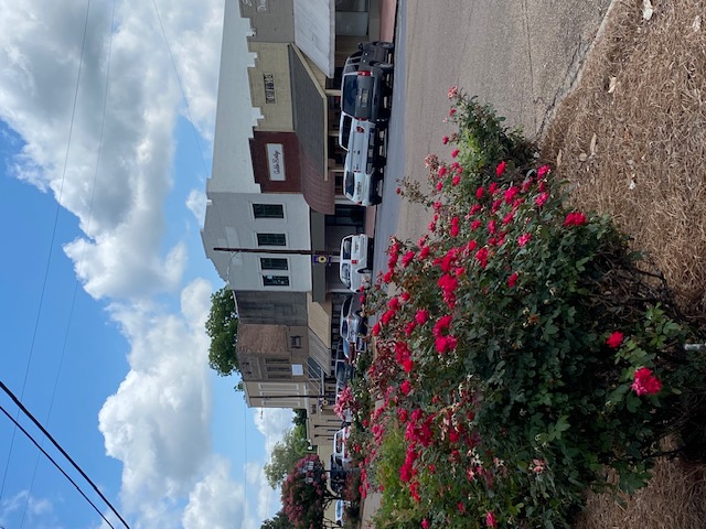 downtown ruleville mississippi