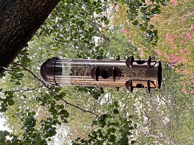 tube bird feeder