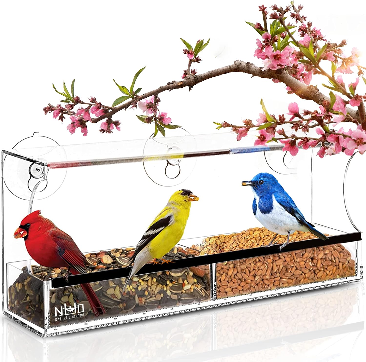 window bird feeder