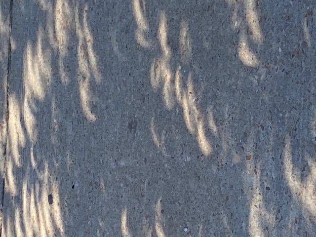 crescent shadow eclipse