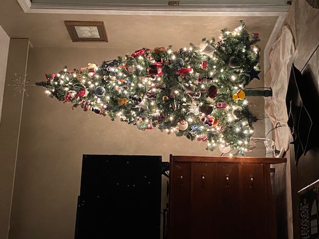 2023 Christmas tree