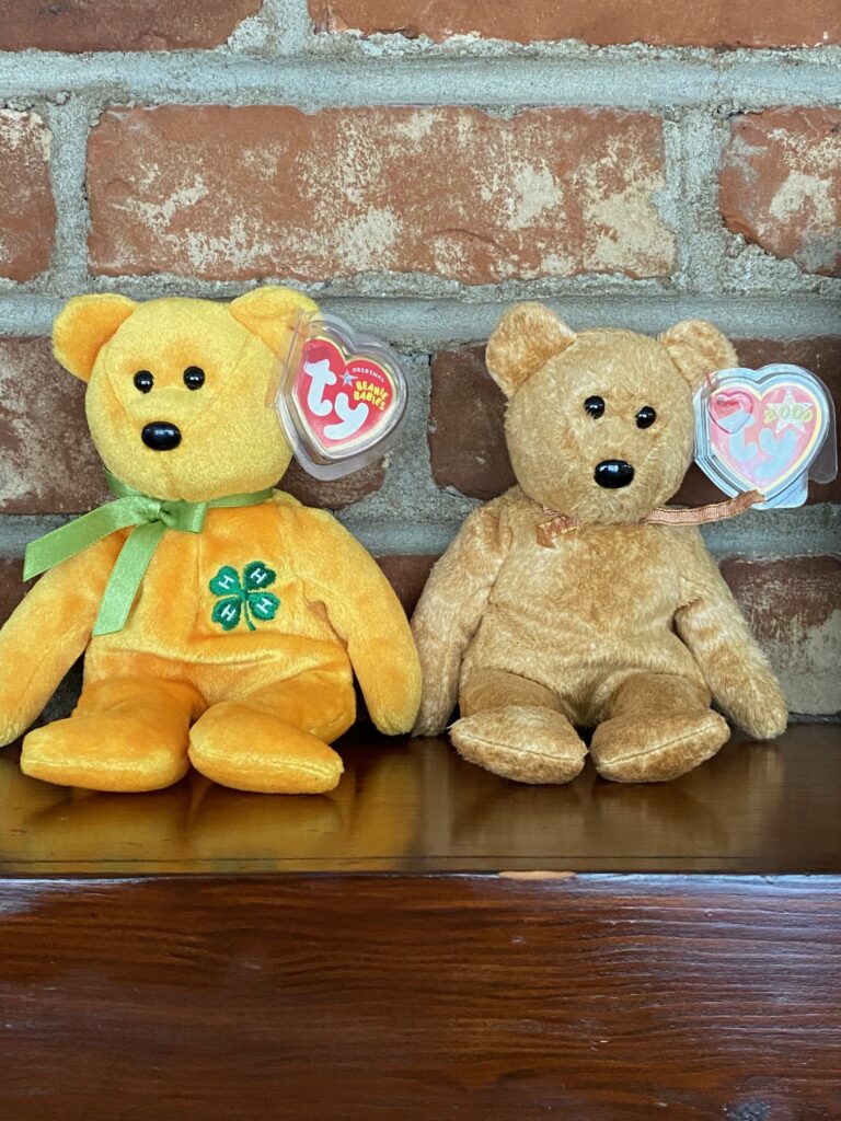 fall beanie babies