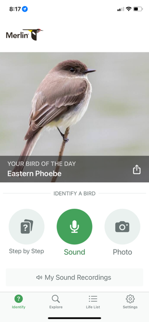 Merlin app Merlin app