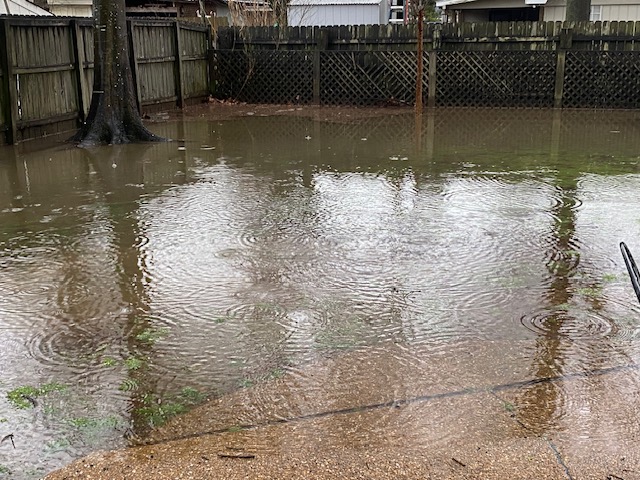 flooded backyard