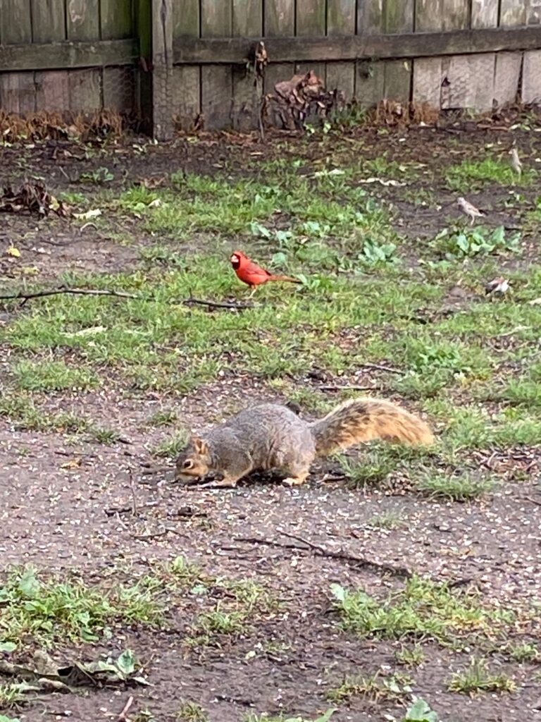 slow weekend slow weekend