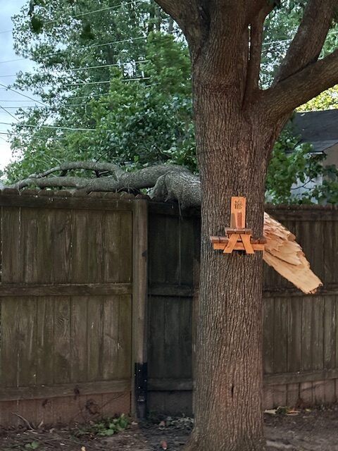 storm damage