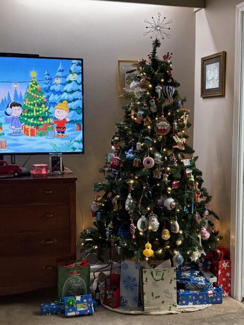 Christmas tree in living room